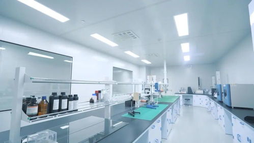 鑄就極致產(chǎn)品 打響中國(guó)智造 走進(jìn)中威時(shí)和汽車(chē)膜工廠的技術(shù)服務(wù)探索